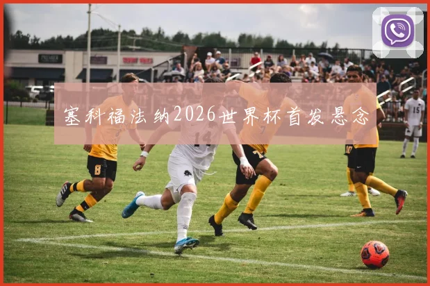塞科福法纳2026世界杯首发悬念