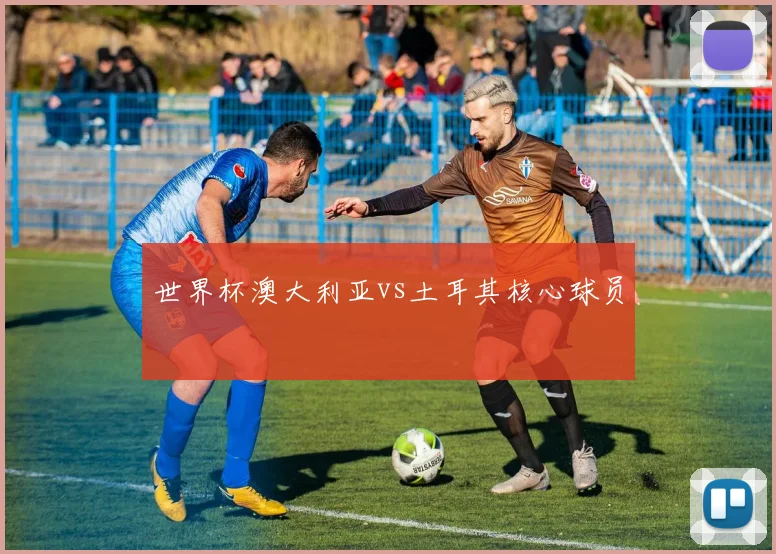 世界杯澳大利亚vs土耳其核心球员
