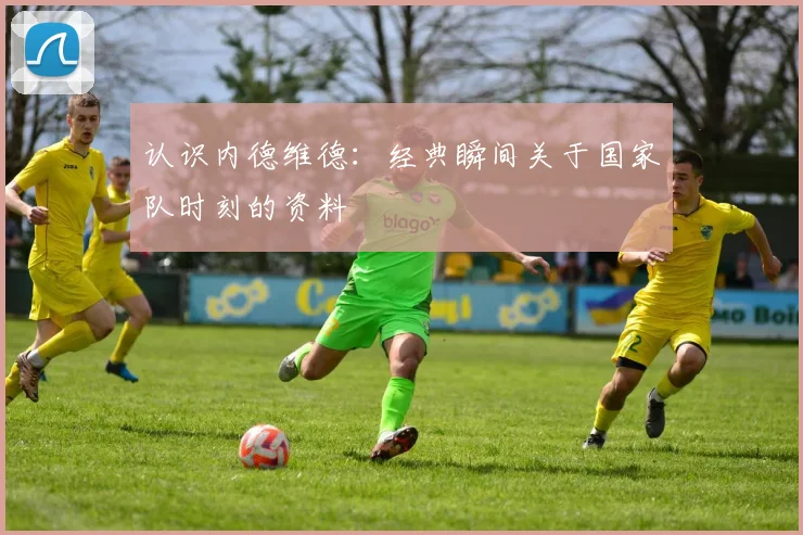 认识内德维德：经典瞬间关于国家队时刻的资料