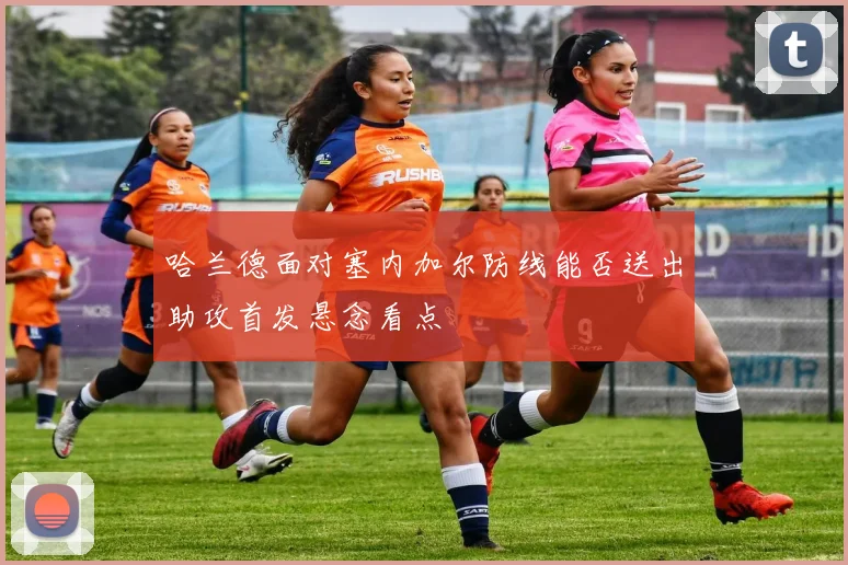 哈兰德面对塞内加尔防线能否送出助攻首发悬念看点