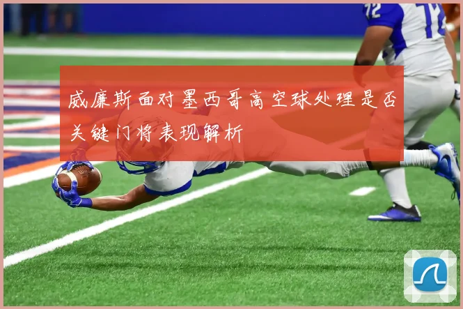 威廉斯面对墨西哥高空球处理是否关键门将表现解析