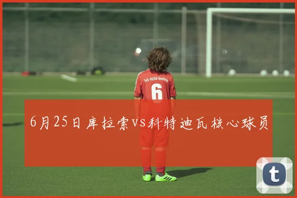 6月25日库拉索vs科特迪瓦核心球员