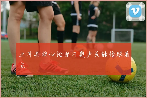 土耳其核心恰尔汗奥卢关键传球看点